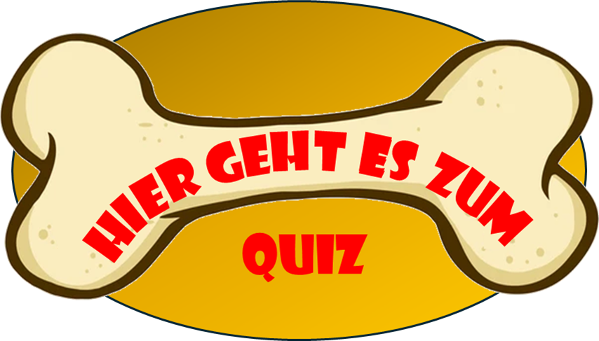 Beschreibung des Bildes